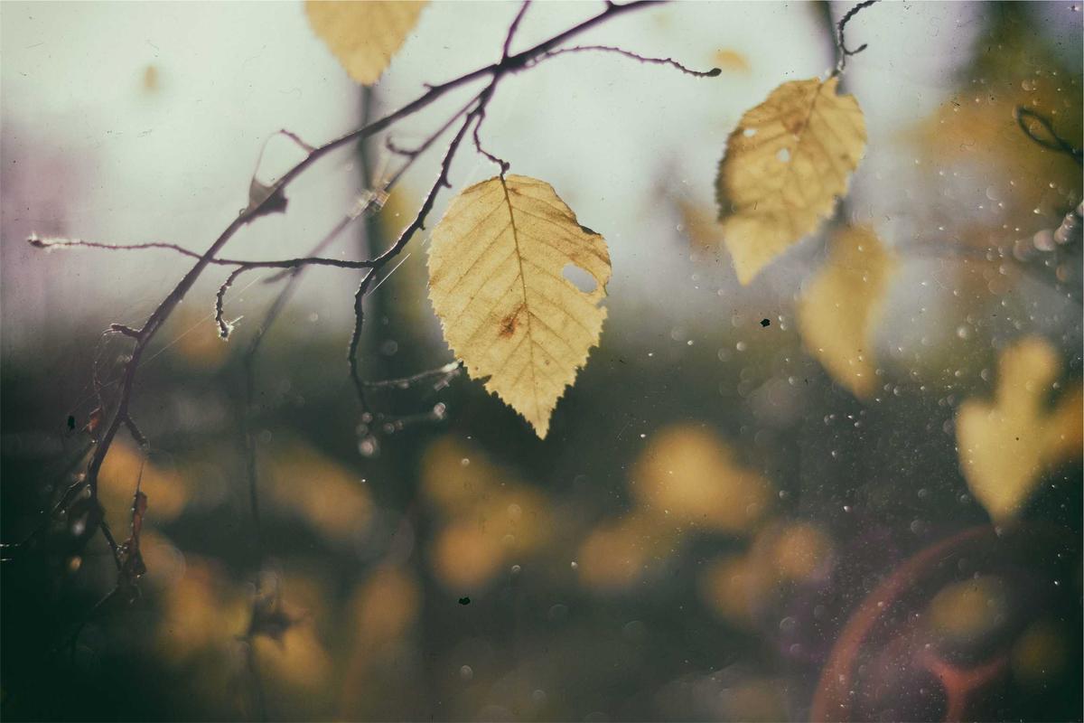 Hintergrund links